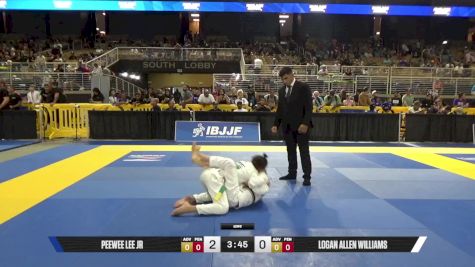 Logan Allen Williams vs Peewee Stumpie Lee Jr 2025 Pan Kids Jiu-Jitsu IBJJF Championship