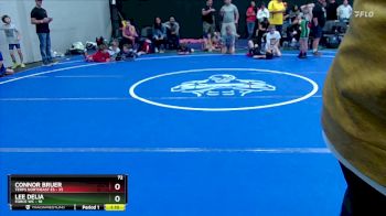 84 lbs Round 3 (8 Team) - Connor Bruer, Terps Northeast ES vs Lee Delia, Force WC