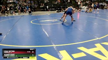 165 lbs Finals (2 Team) - Cole Ritter, Maryville vs Kaden Hart, Nebraska-Kearney