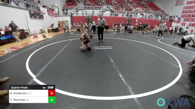 46 lbs Quarterfinal - Kannon Anderson, Comanche Takedown Club vs Teagen Martinez, Carl Albert