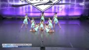 South Texas Strutters [2026 Tiny - Premier - Contemporary/Lyrical Day 2] 2026 Power Dance Grand Nationals