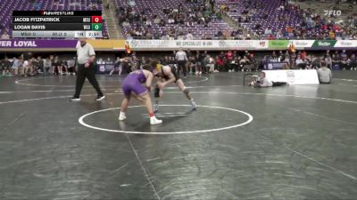 125 lbs Quarters & 1st Wb (16 Team) - Logan Davis, West Liberty vs Jacob Fitzpatrick, Minnesota State