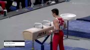 Vahe Petrosyan - Pommel Horse, Gym Olympica - 2021 US Championships