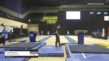 Tristan Shorey - Vault, World Champions Centre - 2021 USA Gymnastics Development Program National Championships