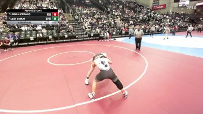 5A 175 lbs Semifinal - Levi Birch, Maple Mountain vs Logan Cefalo, Box Elder