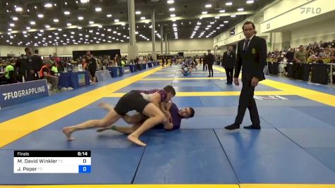 Michael David Winkler vs Jonathan Peper 2024 IBJJF Jiu-Jitsu CON International