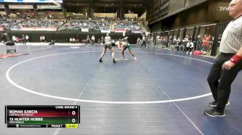 165 lbs Cons. Round 4 - 13 Hunter Hobbs, Providence vs Roman Garcia, Central Methodist