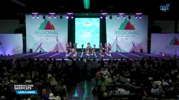 Diamonds All Stars - Sassycats [2025 L2 Junior Day 1] 2025 The Southeast Regional Summit