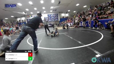 49 lbs Rr Rnd 2 - Tyler Lindsey, Clinton Youth Wrestling vs Hunter Larsen, Blue Devil Wrestling