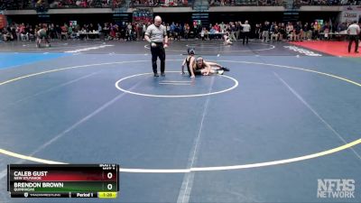 103 lbs Quarterfinal - Brendon Brown, Quinhagak vs Caleb Gust, New Stuyahok