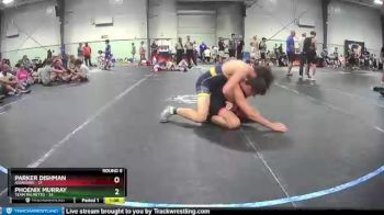 170 lbs Round 6 (8 Team) - Phoenix Murray, Team Palmetto vs Parker Dishman, Assassins