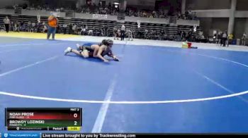 135 lbs Quarterfinals (8 Team) - Noah Prose, Pine Island vs Browdy Lozinski, Minneota