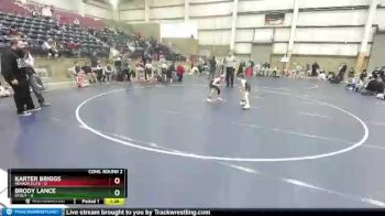 49 lbs Semis & Wb (16 Team) - Karter Briggs, Nevada Elite vs Brody Lance, Stout