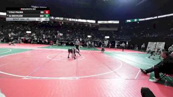 90 lbs Cons. Semi - Cole Palma, NBHA vs Aj Bechlem, WSW1