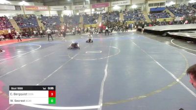 73 lbs Consi Of 4 - Coleman Bergquist, Cedaredge Wrestling vs Wyatt Secrest, Bear Cave