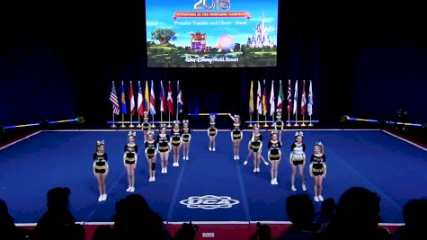 Premier Tumble and Cheer - Black [2018 L2 Youth Small D2 Day 1] UCA International All Star Cheerleading Championship