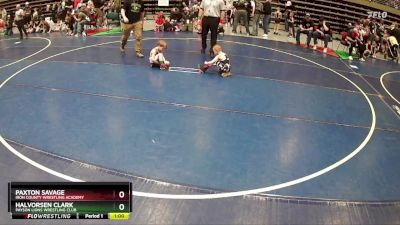 45 lbs Cons. Round 2 - Halvorsen Clark, Payson Lions Wrestling Club vs Paxton Savage, Iron County Wrestling Academy