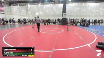 109 lbs Semifinal - Cannon Burd, GNWC vs Avery Cox, Shenandoah Valley WC