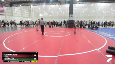 109 lbs Semifinal - Cannon Burd, GNWC vs Avery Cox, Shenandoah Valley WC