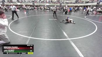 45-50 lbs Quarterfinal - Brecken Phares, Team Nazar Training Center vs Liam Gilbert, DC Elite Wrestling