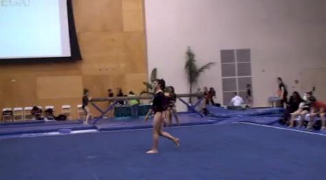 Wildfire (Chanen Raygoza)