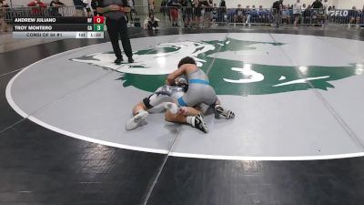 120 lbs Consi Of 64 #1 - Andrew Juliano, NY vs Troy Montero, CA