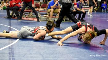 132 lbs Quarterfinal - McKinley Robbins, Greene County vs Aiden Flora, ADM