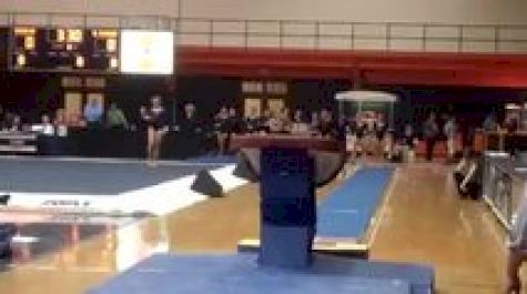 Illinois (Alina Weinstein) - 9.825