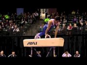 Akash Modi - Pommel Horse Finals - 2012 Kellogg's Pacific Rim Championships - 3rd