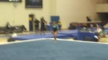 W FX CO Michigan State