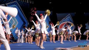 Top Moments From The Crowdleader Division At USA Spirit!