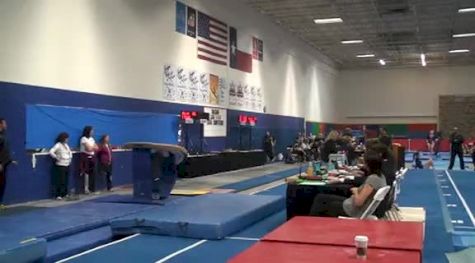 Aerial Athletics (Braie Speed)