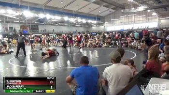140 lbs Quarterfinals (8 Team) - Jacob Perry, NC National Team vs TJ Watson, Stronghold