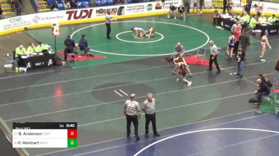 117 lbs Consi Of 16 #2 - Blake Anderson, Central York vs Pierce Reinhart, Bethel Park