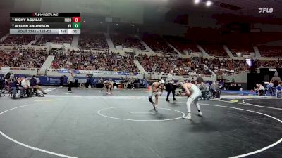 132-D3 Cons. Semi - Ricky Aguilar, Poston Butte High School vs Jayden Anderson, Yuma High School