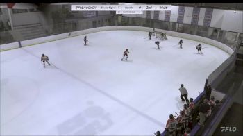 Replay: Home - 2023 Sound Tigers U14 vs Bandits 14U A | Dec 2 @ 5 PM