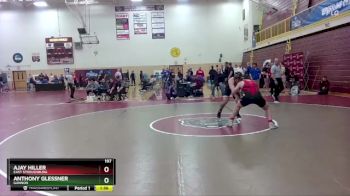 197 lbs Quarterfinal - Ajay Hiller, East Stroudsburg vs Anthony Glessner, Gannon