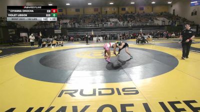 152 lbs Round Of 16 - Ciyanna Okocha, Wyoming Seminary vs Violet Libson, Bishop Lynch High School