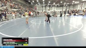 87 lbs Semifinal - Tristan Pino, Betterman Elite Wrestling vs Greysen Packer, Upper Valley Aces Wresstling