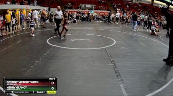 48 lbs Quarterfinal - Henry Glancy, Wadsworth vs Destiny Victory Wren, Bomber WC