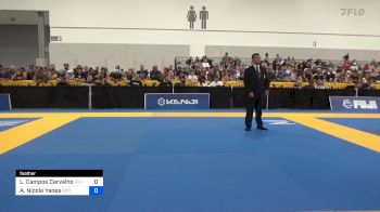 Larissa Campos Carvalho vs Alexa Nicole Yanes 2024 World Masters IBJJF Jiu-Jitsu Championship