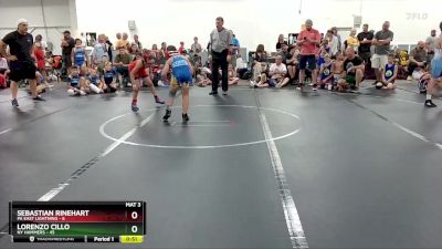 84 lbs Round 3 (4 Team) - Sebastian Rinehart, PA East Lightning vs Lorenzo Cillo, NY Hammers