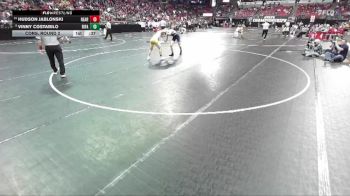 D1-144 lbs Cons. Round 2 - Hudson Jablonski, Reedsburg Area vs Vinny Costabilo, River Falls