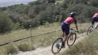 The Most Crucial Part Of Sea Otter Is Mile 1