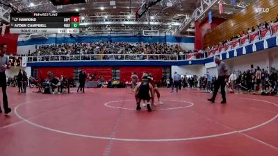 132 lbs Quarterfinal - LT Hawkins, Crown Point vs Ayden Campbell, Portage