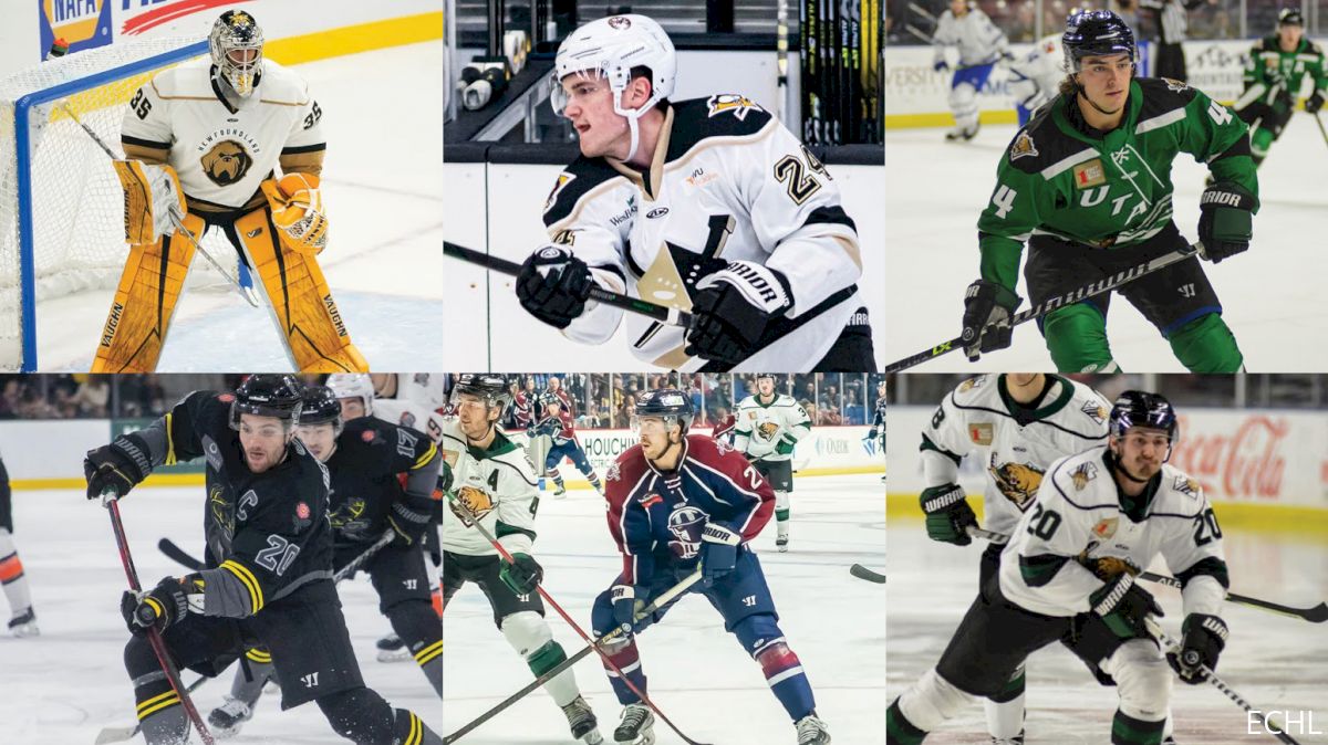 ECHL Announces 2021-22 All-Rookie Team