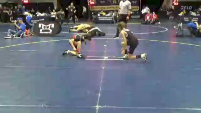 65 lbs Quarterfinal - Sabrina Houck, Hempfield vs Kaylynn Hall, Northern Bedford