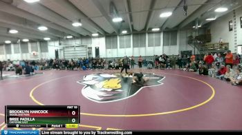 100 lbs Champ. Round 3 - Bree Padilla, Cheyenne East vs Brooklyn Hancock, Woodland Park