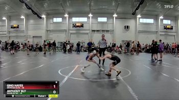 84 lbs Round 8 (10 Team) - Gino Hayes, Brawler Elite vs Anthony Bly, Rambler WC