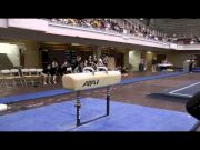 TGC Championships 2012 (Men): Pommel Horse -- Eli Richardson